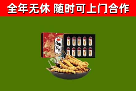 广陵区回收冬虫夏草价格